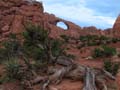 Arches NP - Skyline Arch